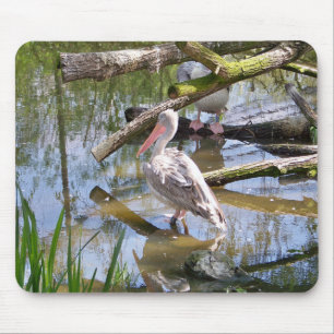 PELICANS MOUSE PAD