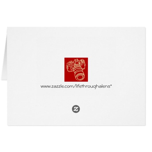 Pelicans Note Cards (Back Horizontal)