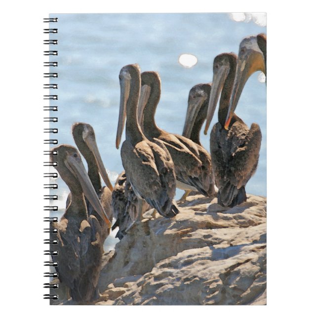 Pelicans Notebook (Front)