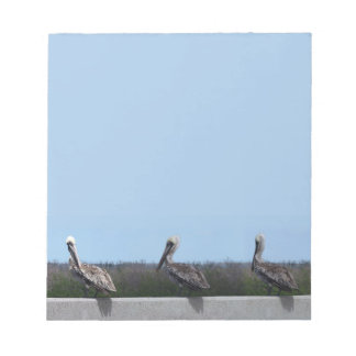 Pelicans Notepad