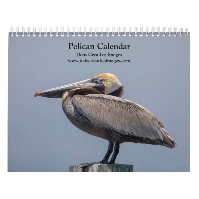Pelicans of Florida Calendar 2026 (Cover)