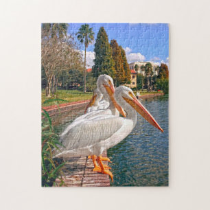 Pelicans of Florida. Jigsaw Puzzle