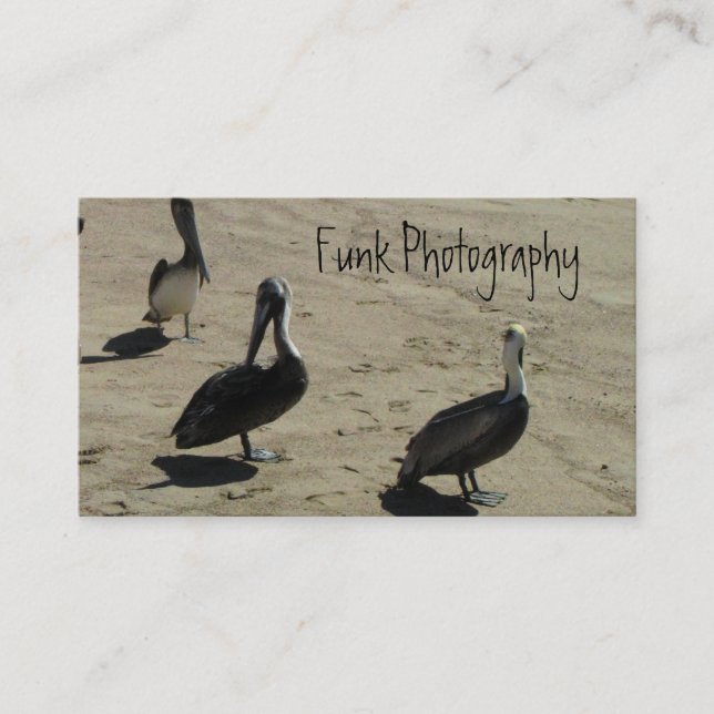 Pelicans on the Beach Business Card (Front)