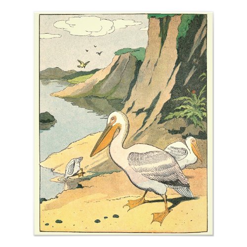 Pelicans on the Beach Illustrated Photo Print