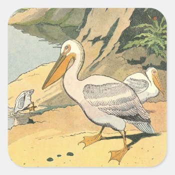 Pelicans On The Beach Illustrated Square Sticker by kidslife at Zazzle