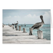 Pelicans On The Pier (Front Horizontal)