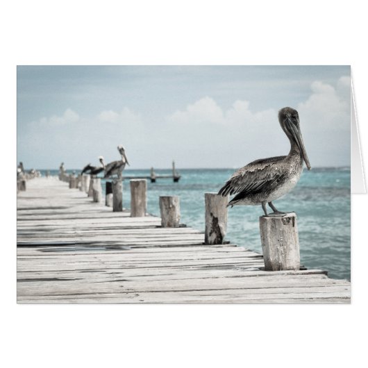 Pelicans On The Pier Cards (Front Horizontal)