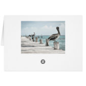 Pelicans On The Pier Cards (Back Horizontal)