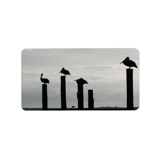 pelicans on the pier label (Front)