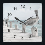 Pelicans On The Pier Square Wall Clock<br><div class="desc">Beautiful pelicans line the pier,  on these wonderful wall clocks. You pick the style square or round.</div>