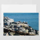 Pelicans on the Rocks (Front/Back)
