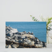 Pelicans on the Rocks (Standing Front)