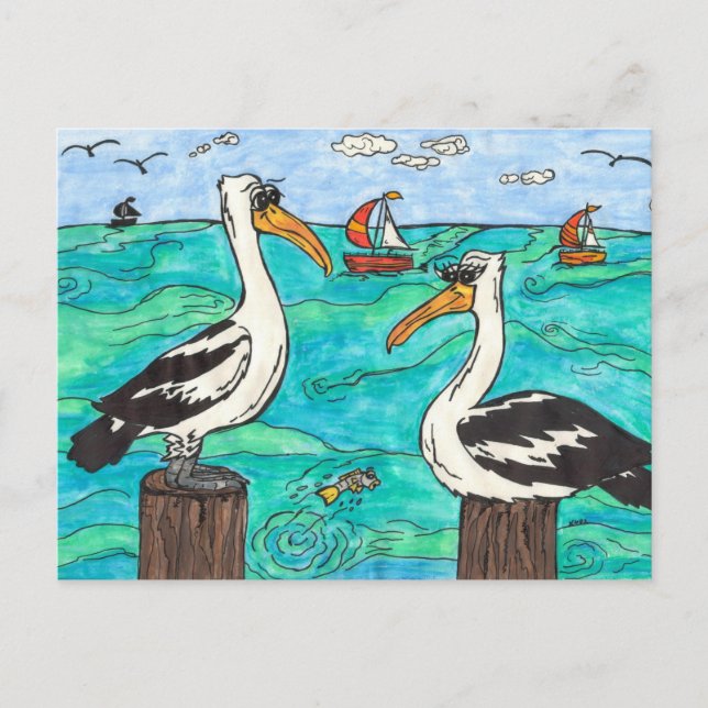 Pelicans Postcard (Front)