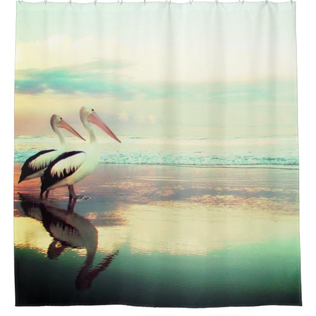Pelicans Shower Curtain (Front)