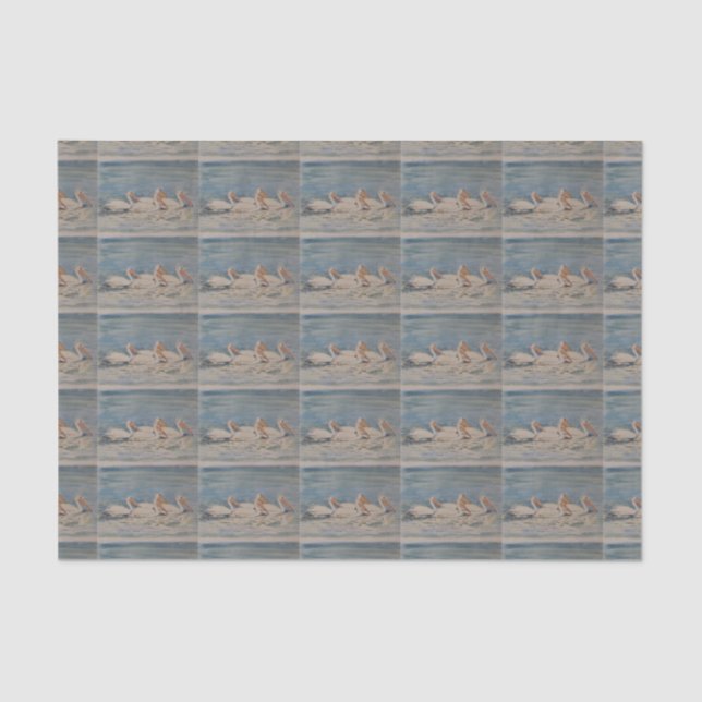 Pelicans Swimming on Calm Waters Tissue Paper (Front)
