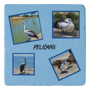 Pelicans The World Coolest Bird Four Photo Frames, Trivet