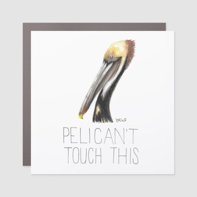 Pelican't Touch This (Brown Pelican) Car Magnet (Front)