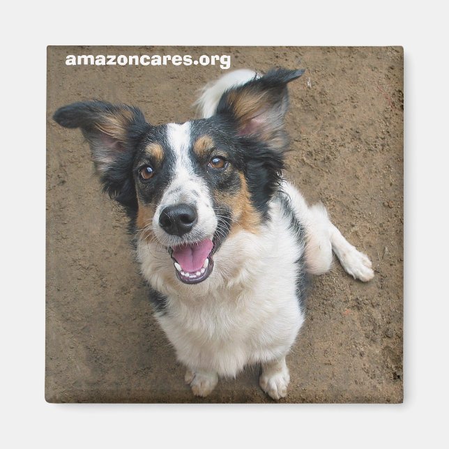 Pelusa Magnet (Front)