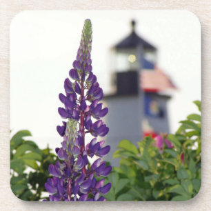 Pemaquid Lupin Beverage Coaster