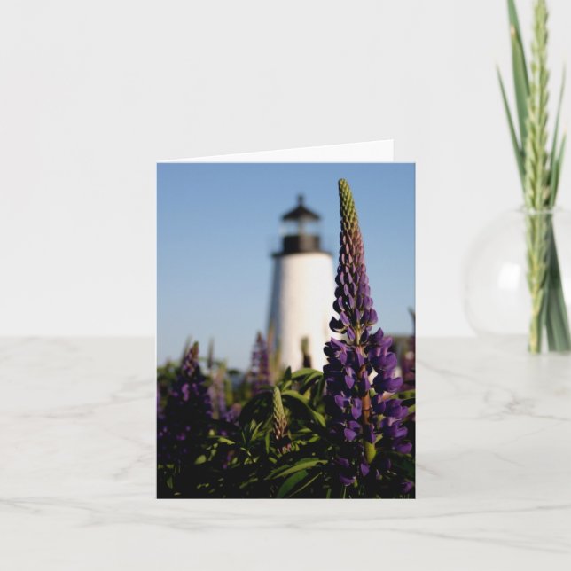 Pemaquid lupines note card (Front)