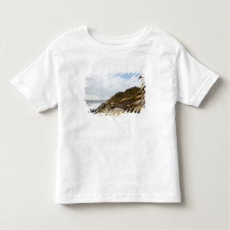 Pemaquid Point Lighthouse on a Rocky Hillside Toddler T-shirt