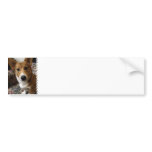 Pembroke Corgi Bumper Sticker