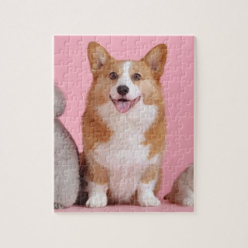 Pembroke Corgi dog beautiful photo jigsaw puzzle