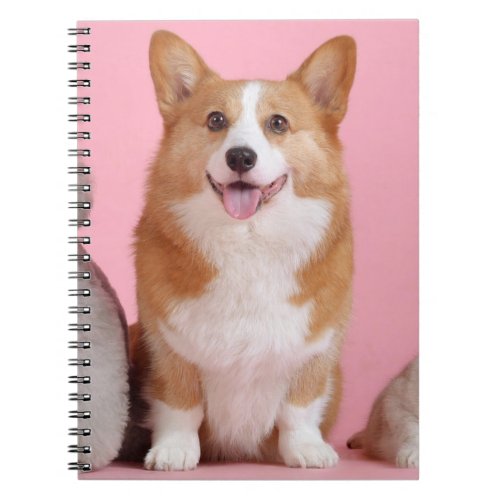 Pembroke Corgi dog beautiful photo spiral notebook