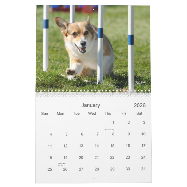 Pembroke Welsh Corgi Agility Calendar (Jan 2026)
