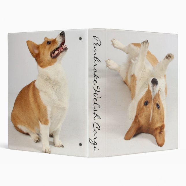 Pembroke Welsh Corgi Binder (Background)