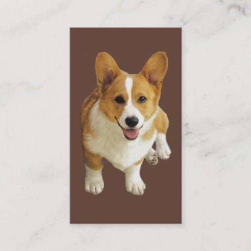 Pembroke Welsh Corgi Breeder Business Card