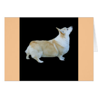Pembroke Welsh Corgi Cards
