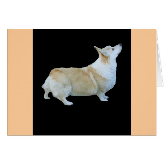 Pembroke Welsh Corgi Cards (Front Horizontal)
