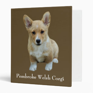 Pembroke Welsh Corgi Cute Binder