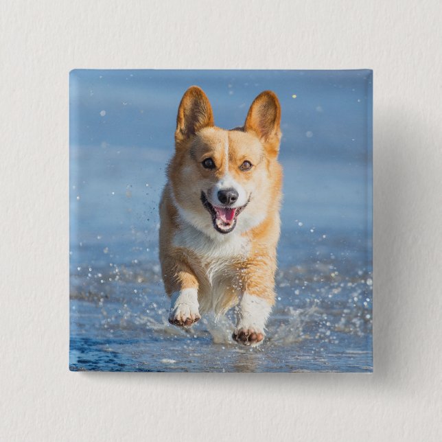 Pembroke Welsh Corgi Dog Running On The Beach Button (Front)