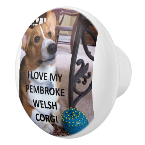 pembroke welsh corgi fawn love w pic ceramic knob