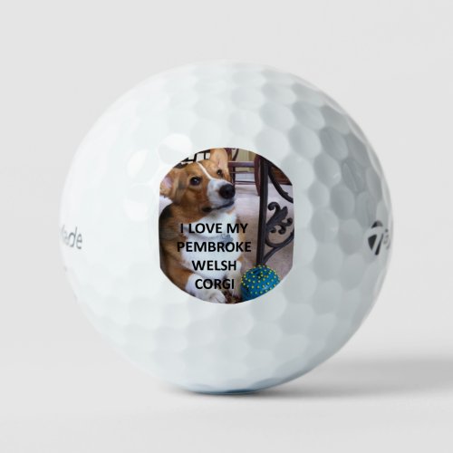 pembroke welsh corgi fawn love w pic golf balls