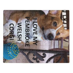 pembroke welsh corgi fawn love w pic jigsaw puzzle