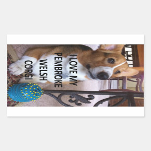 pembroke welsh corgi fawn love w pic rectangular sticker