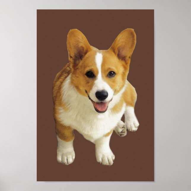 Pembroke Welsh Corgi Happy Print (Front)