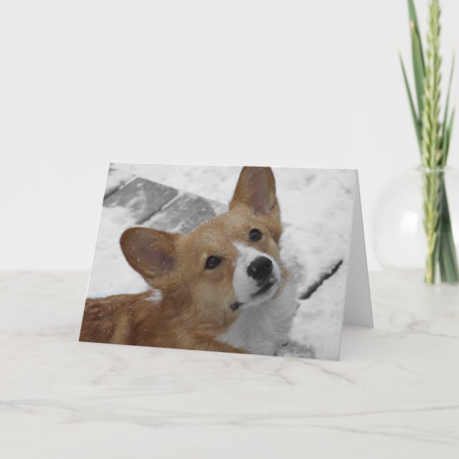 Pembroke Welsh Corgi in Snow Card (Front)