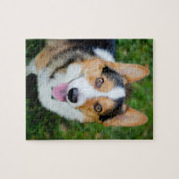 https://rlv.zcache.com/pembroke_welsh_corgi_jigsaw_puzzle-r7e1a9d73a92f4e5e9f5fe2858b418a98_amb0f_8byvr_200.jpg