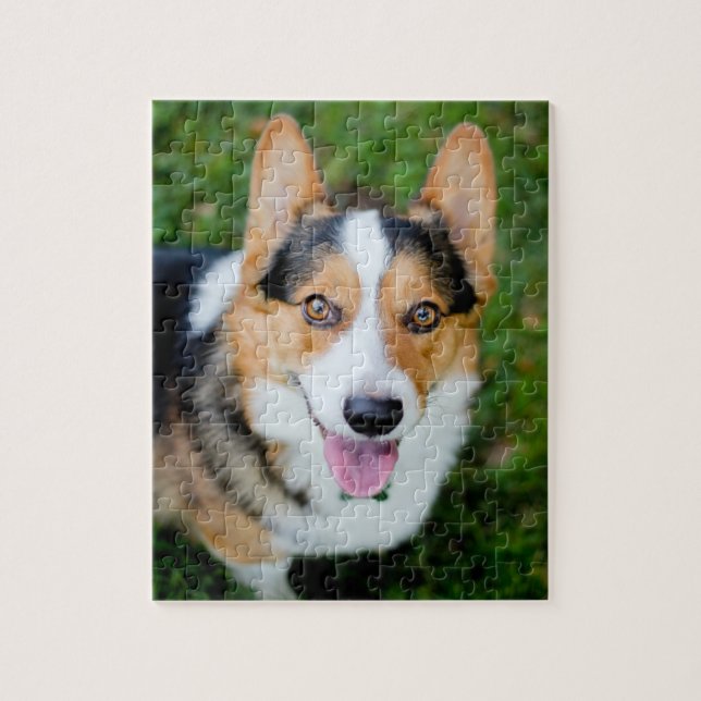 Pembroke Welsh Corgi Jigsaw Puzzle (Vertical)