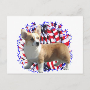 Pembroke Welsh Corgi Patriot Postcard