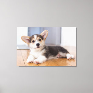 Pembroke Welsh Corgi Puppy Canvas Print