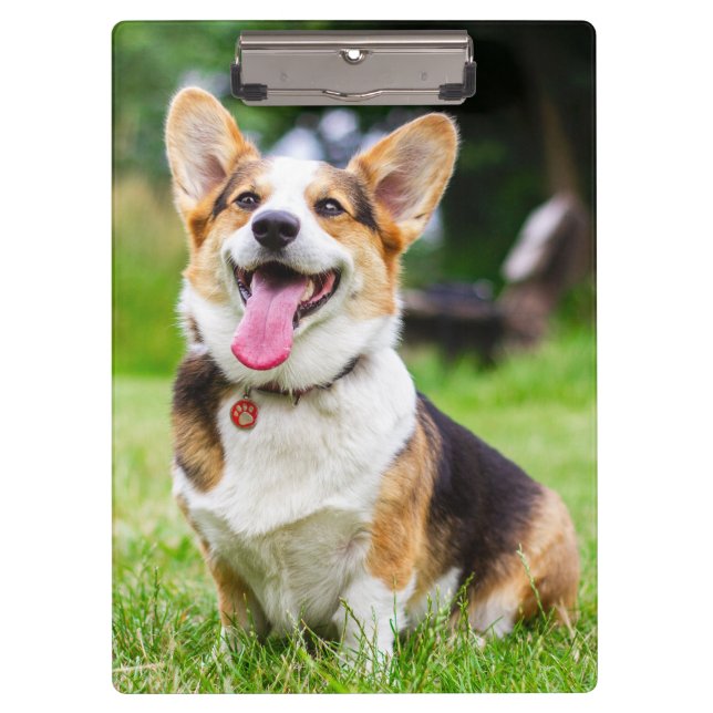 Pembroke Welsh Corgi Puppy Dog Clipboard (Front)