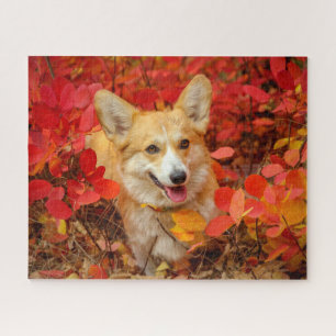 Pembroke Welsh Corgi Puppy Dog in Red Leaves Jigsaw Puzzle
