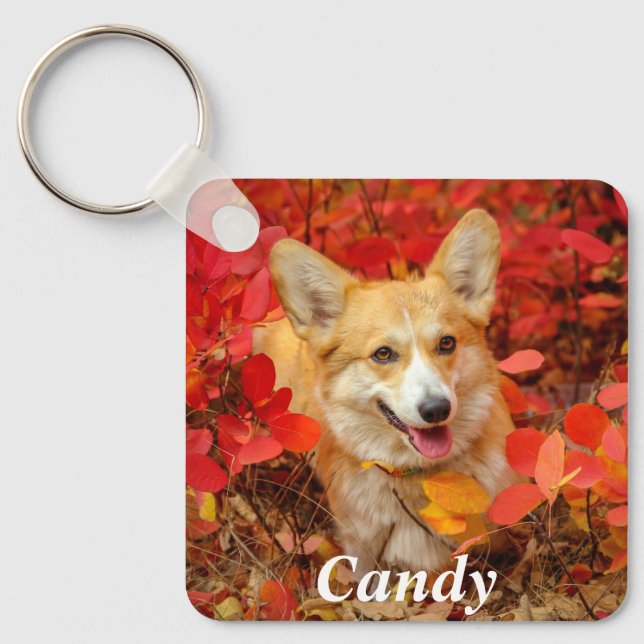 Pembroke Welsh Corgi Puppy Dog in Red Leaves Keychain (Front)