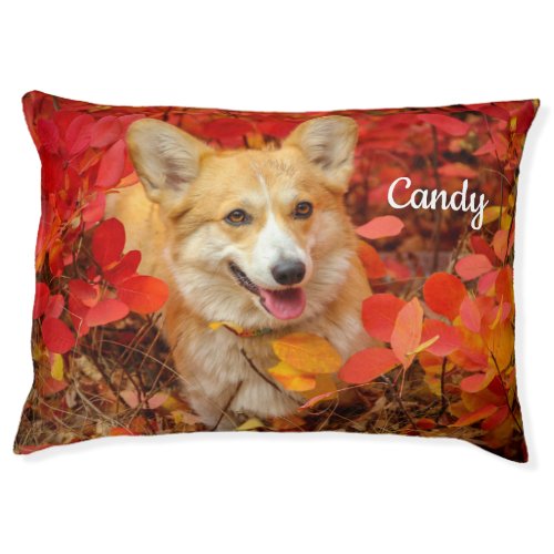 Pembroke Welsh Corgi Puppy Dog in Red Leaves Pet Bed