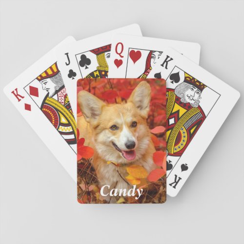 Pembroke Welsh Corgi Puppy Dog in Red Leaves Playing Cards